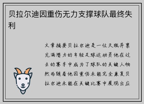 贝拉尔迪因重伤无力支撑球队最终失利